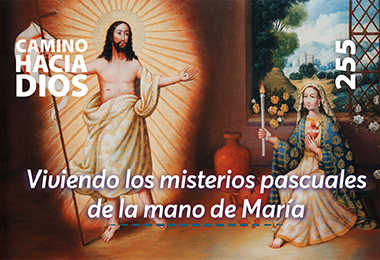 Edición CHD 255