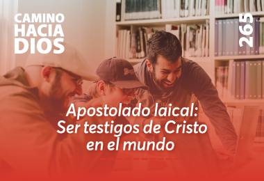 Edición CHD 265