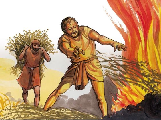 Martes de la XVII Semana del Tiempo Ordinario (I)
